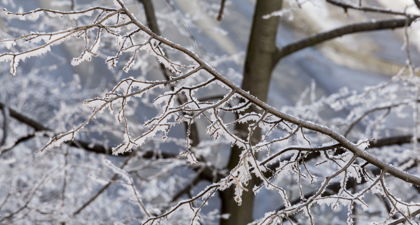Не бери на себя лишнее, не спеши: народные приметы и запреты на 12 декабря, Парамона Зимоуказателя