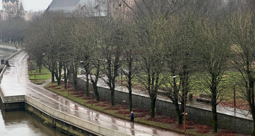 Калининградская область под циклонной депрессией: какой погоды ждать в четверг, 11 декабря