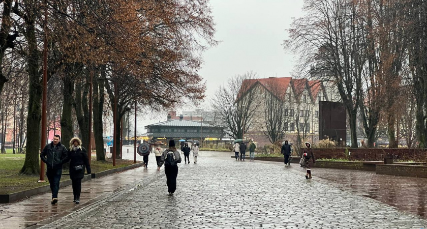 Когда в Калининграде ударят морозы: синоптики назвали конкретный срок, и он многих удивит