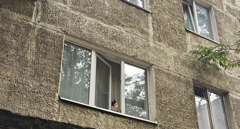 Зима только началась, а из окна уже дует: проверяем четыре слабых места перед морозами