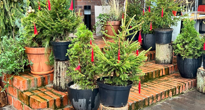 Погода в Калининградской области 12 декабря: тепло, но без солнца