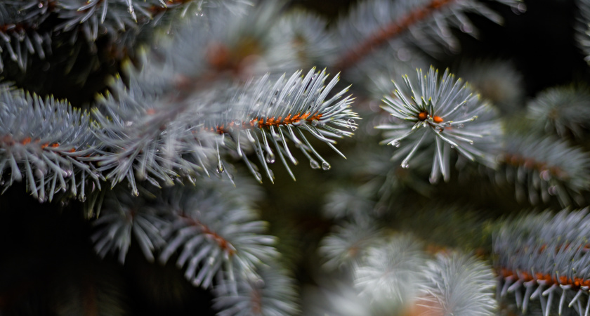 Не начинай конфликтный разговор, перебери шкаф: народные приметы и запреты на 13 декабря, день Андрея Зимнего