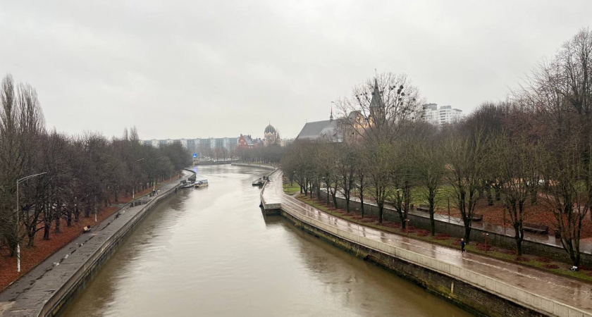 Погода в Калининграде на 12 декабря: что ждать жителям города
