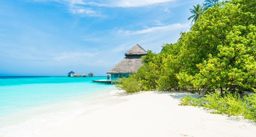Точно такой же белый песок и бирюза, как на Мальдивах, но в 2 раза дешевле: куда полететь за впечатлениями весной 2026 года