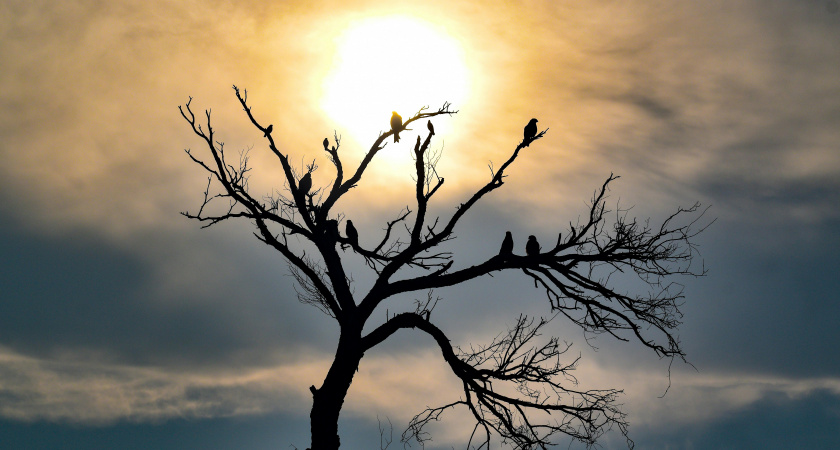 Не говори лишнего, не делись планами: народные приметы и запреты на 16 декабря, Ивана Молчальника