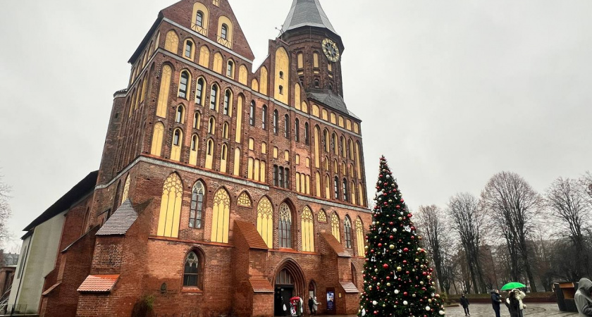 Калининградская зима с подвохом - прогноз погоды на 16 декабря