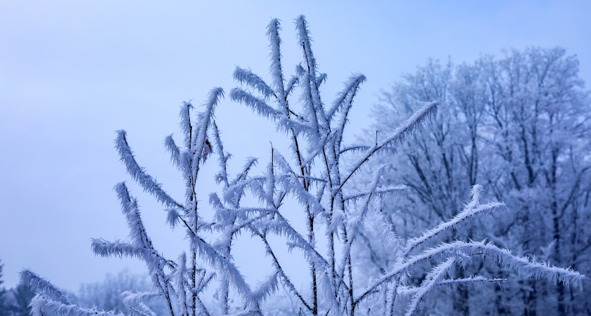 Не спорь с морозом и береги слова: народные приметы и запреты на 17 декабря, Варварины морозы