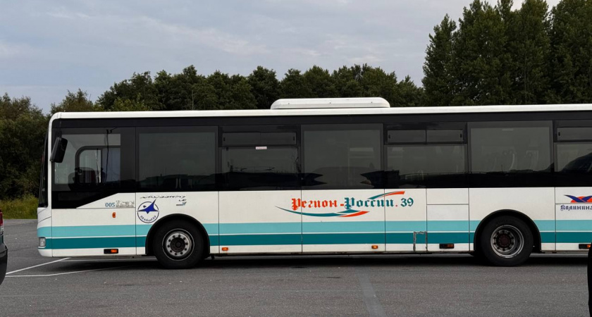 В Калининграде автобусы и маршрутки временно пропадут с онлайн-карт