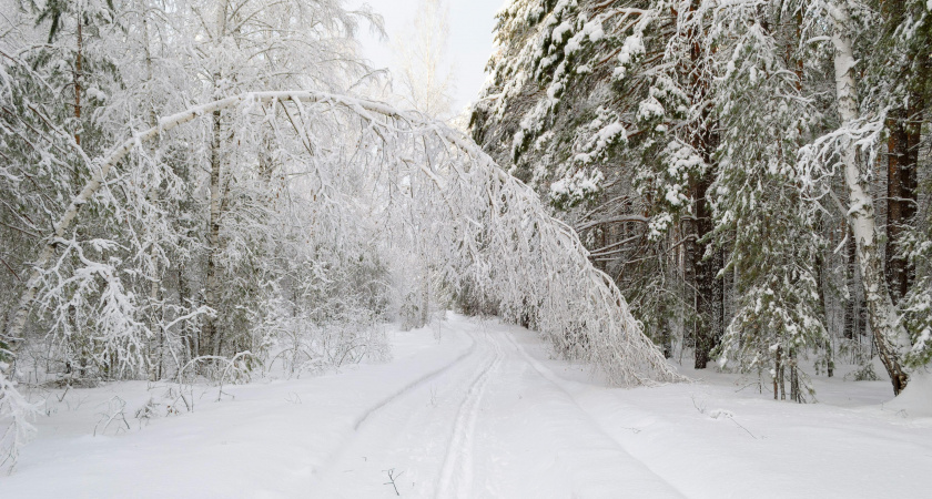 Не игнорируй здоровье, уберись дома: народные приметы и запреты 18 декабря, Саввин день