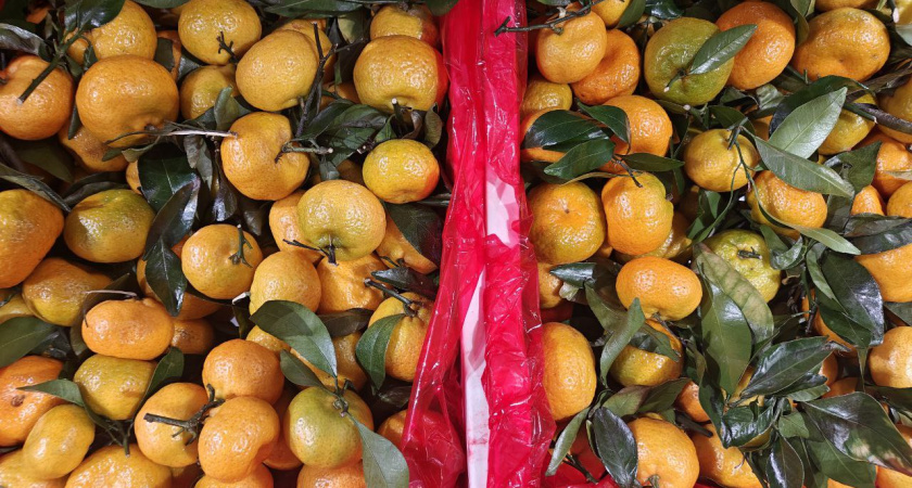 Купили кислые мандарины к Новому году — не беда: за 30 секунд они становятся сладкими — вот лайфхак