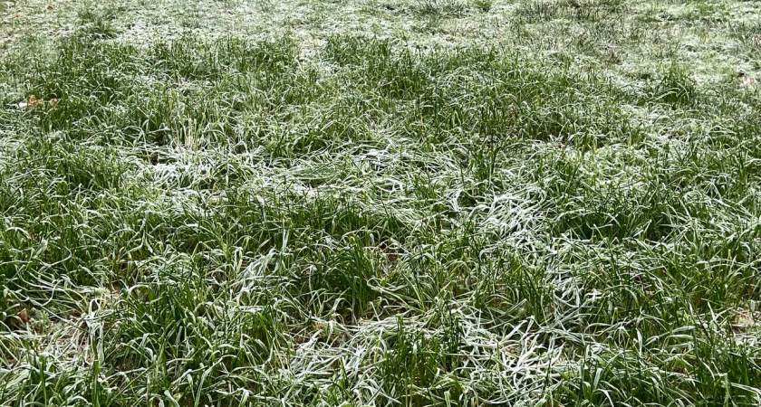 Калининградская область перед разворотом зимы: чего ждать от погоды до конца недели