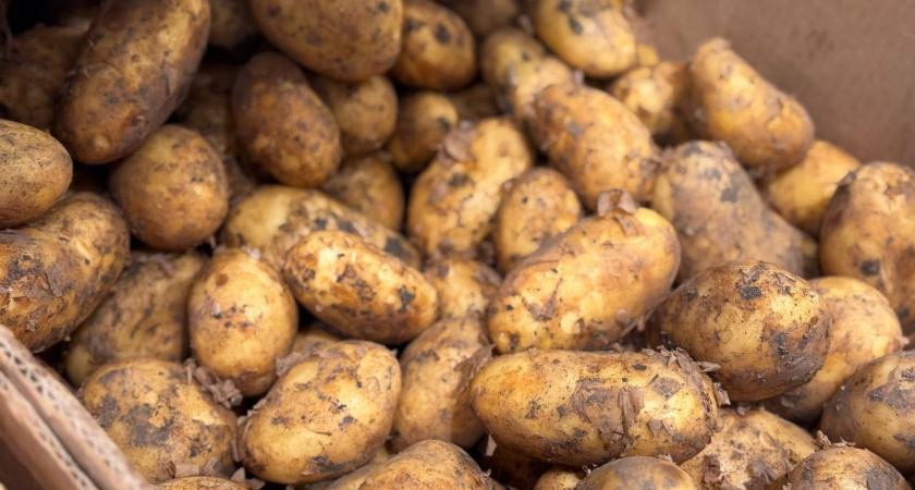 Названы самые подорожавшие продукты в Калининградской области за год