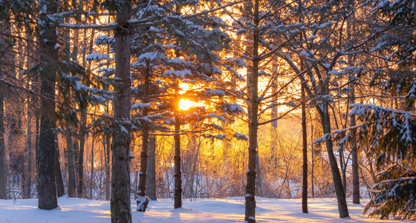 Не суетись и помоги ближнему: народные приметы и запреты на 19 декабря - Никола Зимний