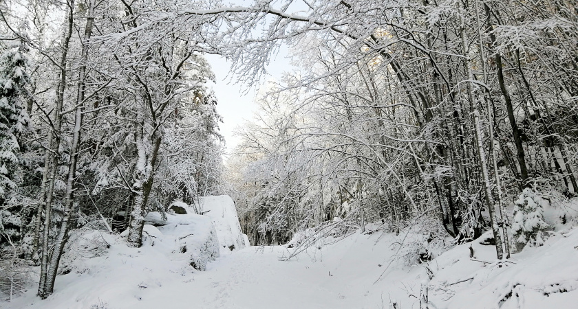 Праздник все-таки будет зимним: синоптики скорректировали прогноз к Новому году