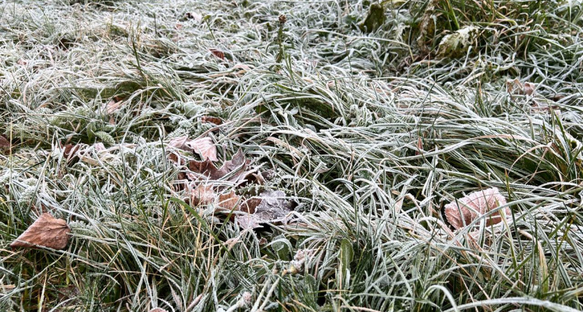 Когда Калининградская область попрощается с теплом: синоптики предсказали региону морозы