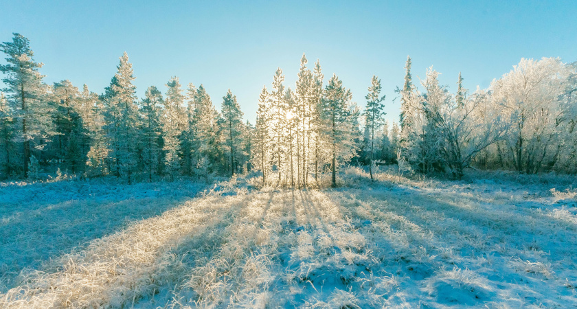Не начинай конфликты, делай работу руками: народные приметы и запреты на 21 декабря, Анфису Рукодельницу