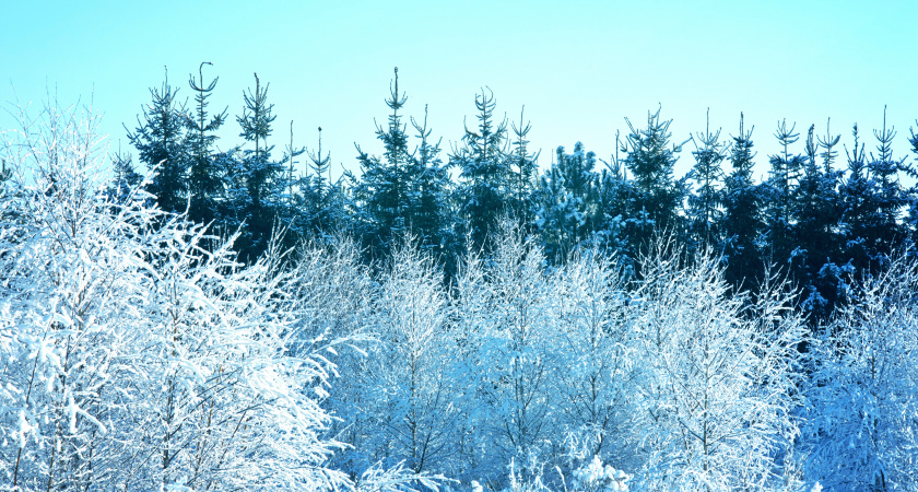 Не выясняй отношения, замедлись: народные приметы на 22 декабря, Анну Темную