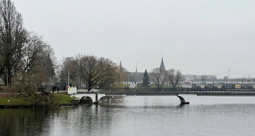 Прохладно, пасмурно и без осадков: какая погода ждёт города Калининградской области 21 декабря