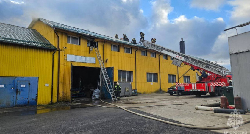 Пожар в Калининграде едва не обернулся взрывом: спасатели  предотвратило ЧП