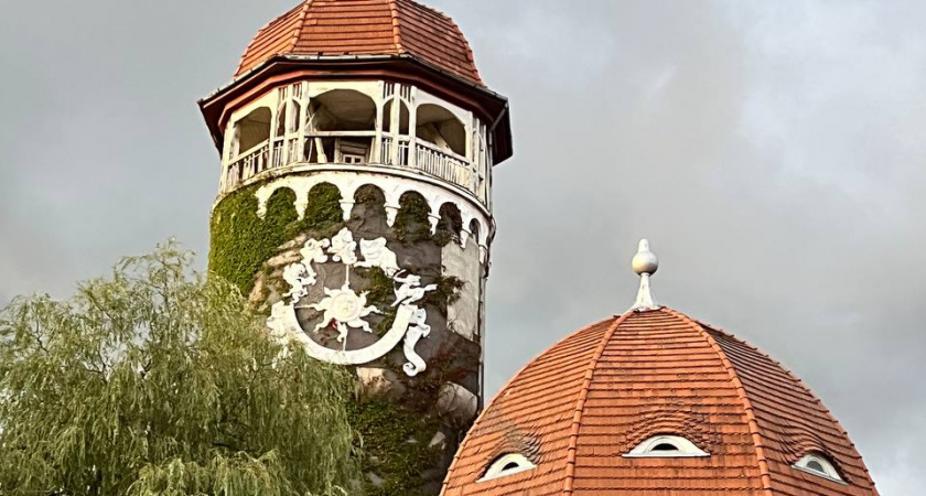 Светлогорск на праздники: ёлка у моря, квесты и каток - полная программа Нового года и каникул