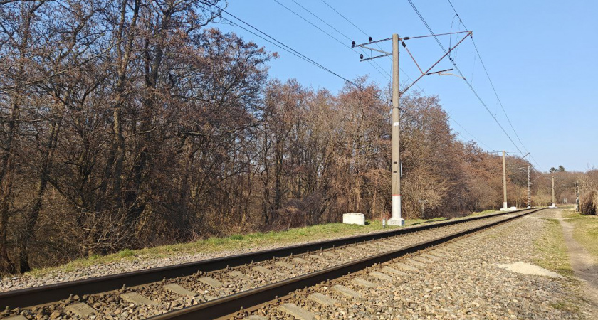 В Калининградской области на ж/д пути к морю появится новая остановка
