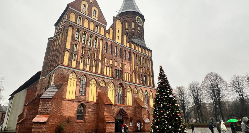 В Калининграде на Новый год и Рождество на Остров Канта пустят через металлодетекторы
