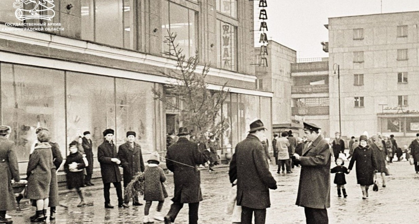 В Калининградском архиве показали редкие кадры города на Новый год 1966: без снега и с длинными очередями