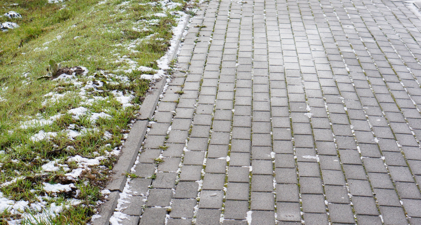 «Даже слон не продавит!»: знакомый белорус дал дельный совет, как качественно уплотнять грунт на садовых дорожках 