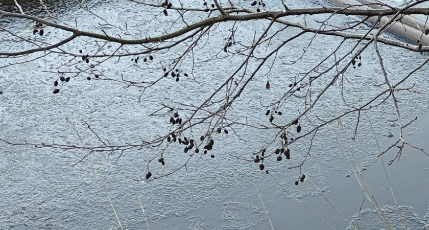 Зима резко напомнит о себе перед праздниками: какой погоды ждать в четверг, 25 декабря