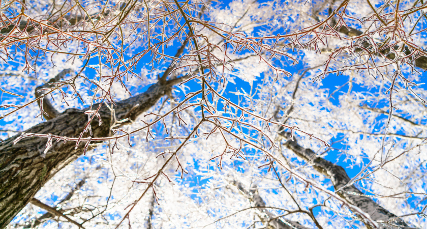 Не оставляй грязную посуду, готовь простые блюда: народные приметы и запреты на 26 декабря, Евстратиев день и Ведьмины посиделки