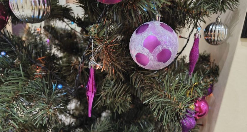 Живая елка может легко простоять до 31 января: флористы назвали правила, которые продлевают ей жизнь