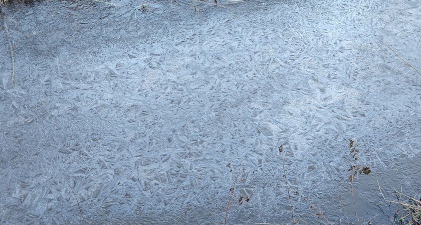 Выйдет ли Калининградская область из холода: синоптики дали прогноз на пятницу, 26 декабря