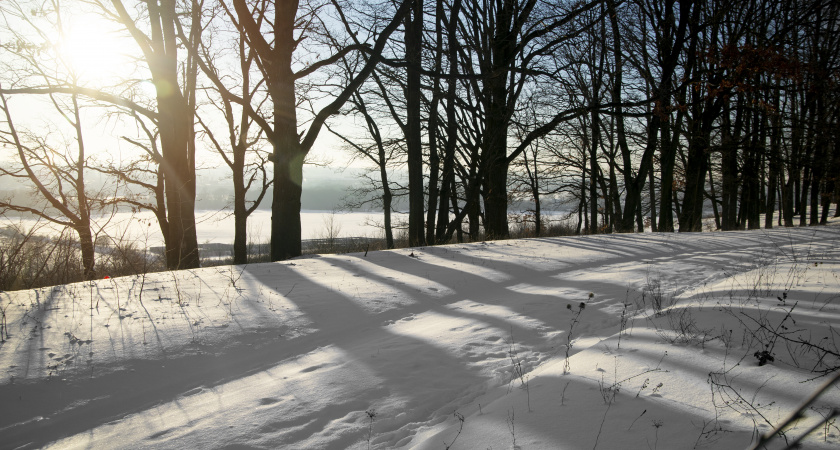 Не хвастайся, не выясняй старые обиды: народные приметы и запреты на 27 декабря, Филимонов день