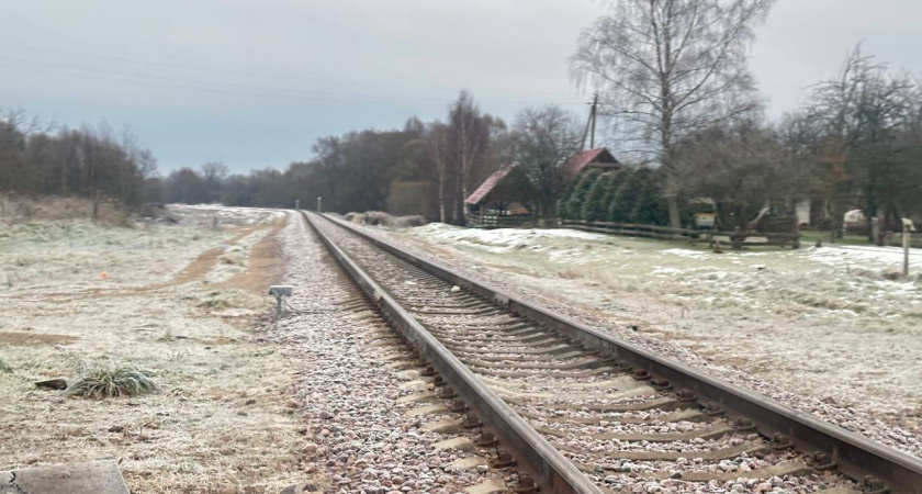 Забудьте о глуши: в какие посёлки Калининградской области проведут интернет