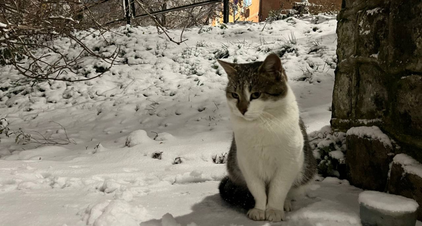 До 40 см снега: когда Калининград накроет «эффект Балтики» перед Новым Годом