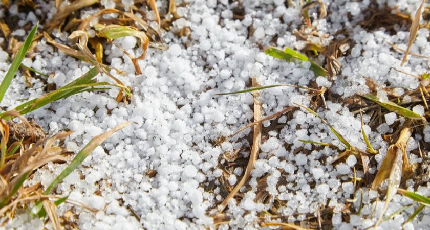 В ближайшие часы в Калининграде ожидается крупа и мокрый снег — где пройдут осадки