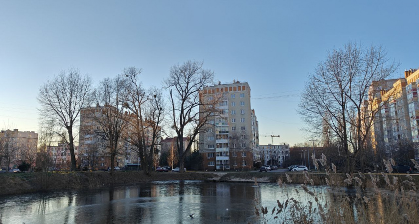 «Впервые за 20 лет»: метеорологи обещают снежный Новый год в Калининграде и области 