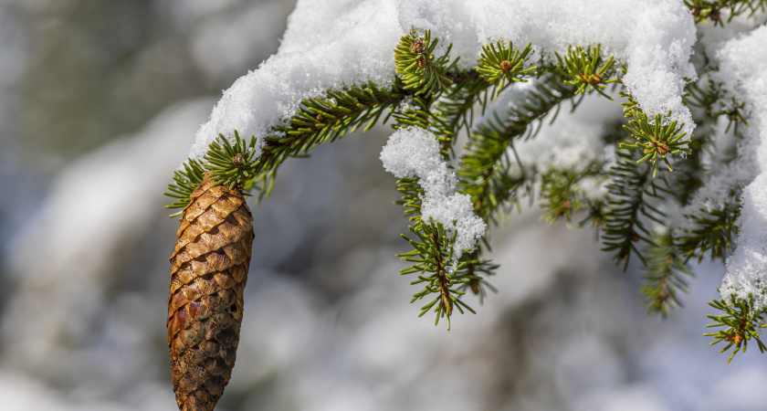 Не давай пустых обещаний, выбрось сломанное: народные приметы и запреты на 31 декабря