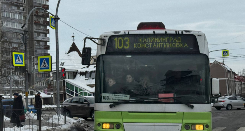В Калининградской области сократят транспорт на новогодние праздники — список отменённых маршрутов