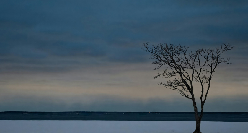 Сны, энергия и первые шаги года: народные приметы и запреты на 1 января, День Ильи Муромца
