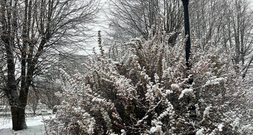 Калининград утонул в снегу: такого Нового года не было 20 лет