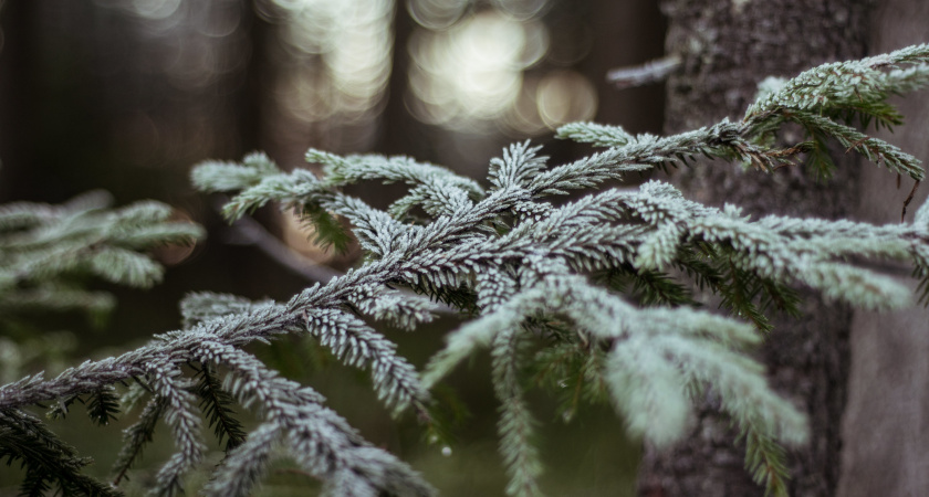 Не спеши и не трать лишнего: народные приметы и запреты на 3 января