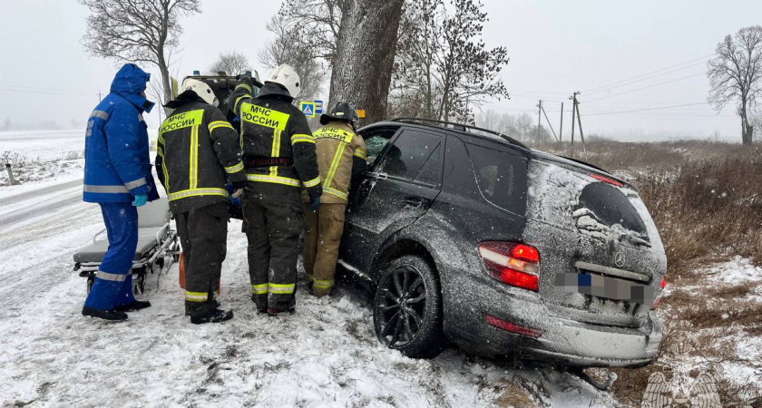 Смертельная ошибка на пустой дороге: в калининградском поселке легковушка врезалась в дерево, пассажира спасали огнеборцы