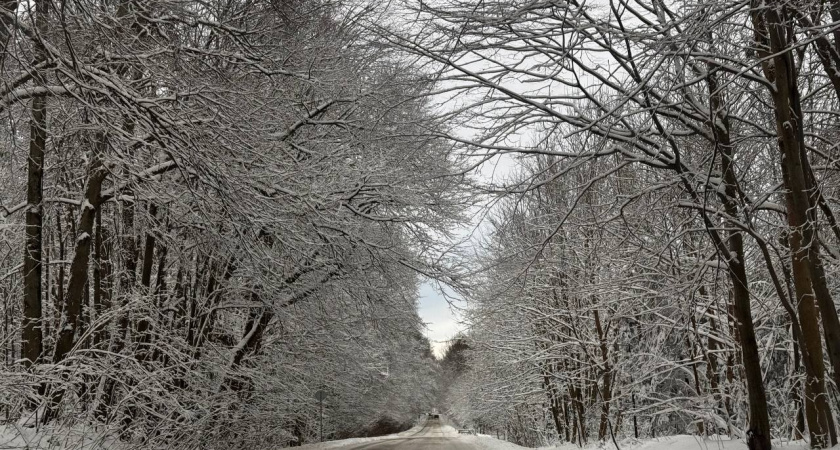 Год погодных контрастов и неожиданных рекордов: чем удивил 2025-й калининградцев и жителей области