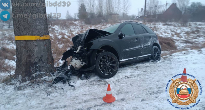 Новогодняя поездка обернулась трагедией: в ГИБДД рассказали о подробностях смертельного ДТП