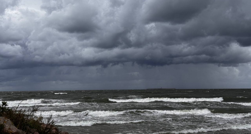 «Быстро завоевать Балтику»: новогодние слова премьера Польши вызвали резонанс и жесткие ответы