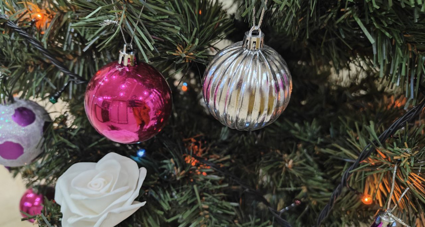 Когда убирать елку в 2026 году, чтобы в доме всегда водились деньги: не перепутайте даты