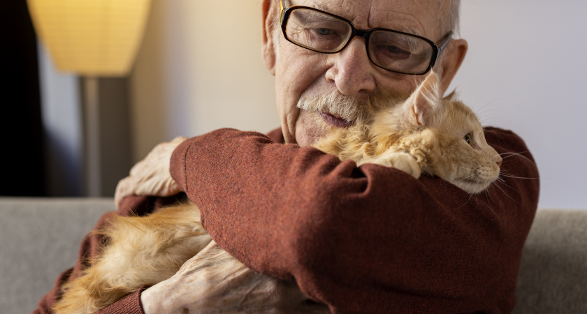 Пенсионерам за 65 лет стоит держаться подальше от кошек: ученые объяснили почему
