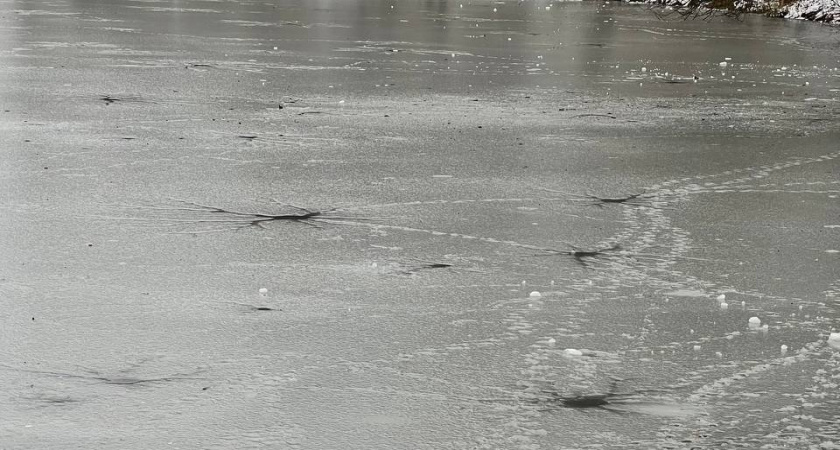 «Посинел и хрипел, начались судороги»: в кануна нового года в Калининграде чуть не утонул четырехлетний  малыш