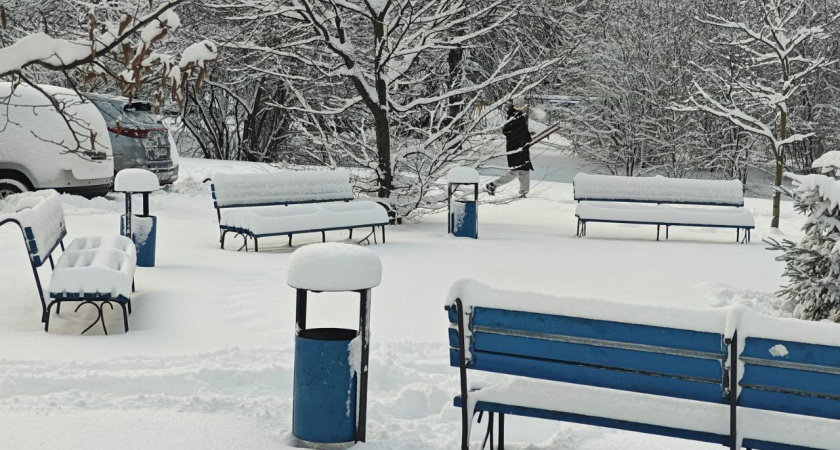 Ожидается до -12: зима выходит на полную мощь - в Калининградской области резко усилятся морозы на второй неделе января